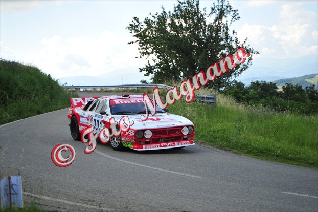 DSC_8988.jpg